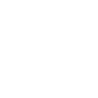 ikona sniezki